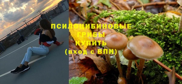 PSILOCYBIN Белоозёрский